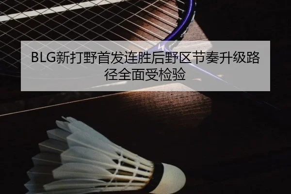 BLG新打野首发连胜后野区节奏升级路径全面受检验